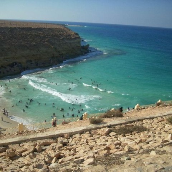 Meet your Posher, Nada - Picture 1 of 1